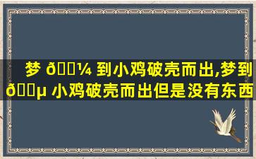 梦 🐼 到小鸡破壳而出,梦到 🐵 小鸡破壳而出但是没有东西吃